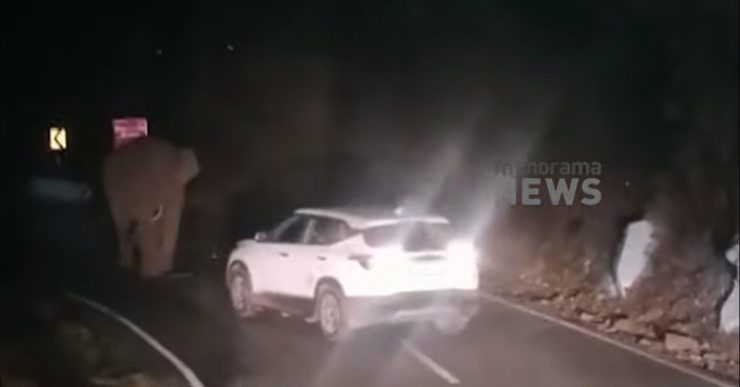 Kia Seltos driver miraculously escapes elephant attack [Video]