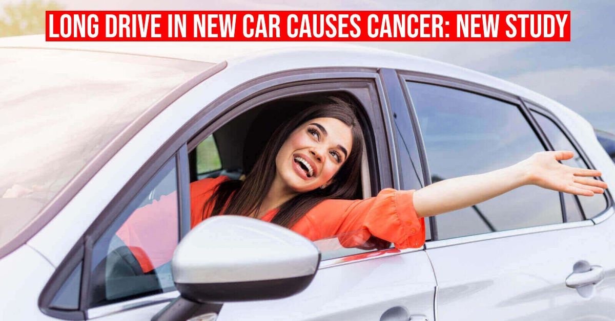 What Exactly Causes the New Car Smell?