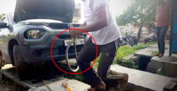 Snake gets into the Tata Punch SUV's underbody: Rescued [Video]