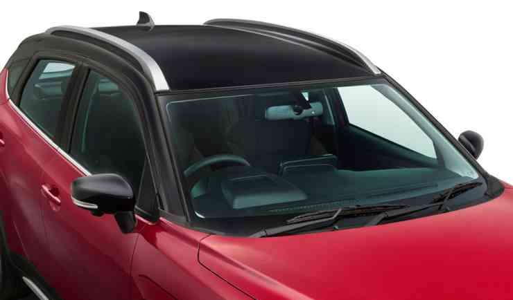 Toyota Taisor dual tone roof