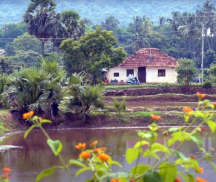 Beautiful house in Kollengode, Kerala