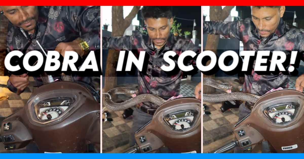 cobra rescue hero pleasure scooter