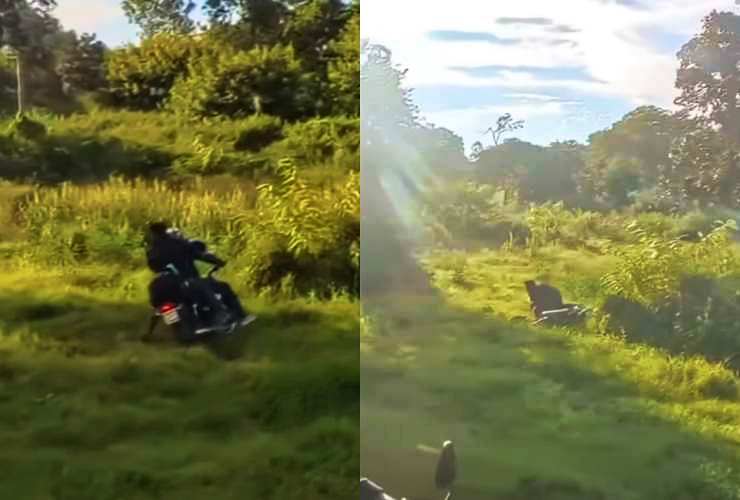 Royal Enfield biker falls after elephant chases