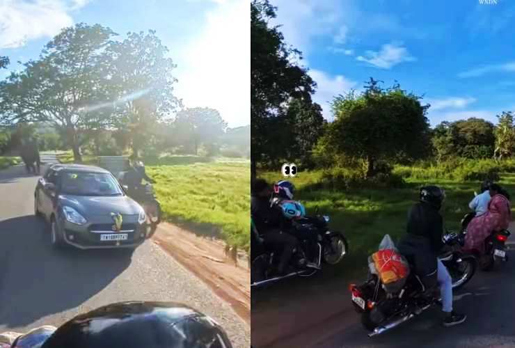 elephant starts chasing biker